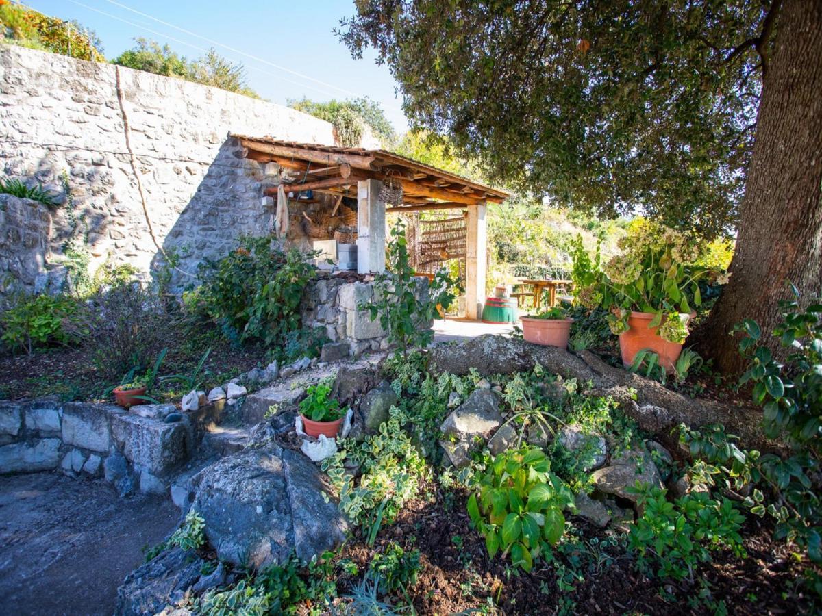 Country House Bakicevo Čilipi Oda fotoğraf