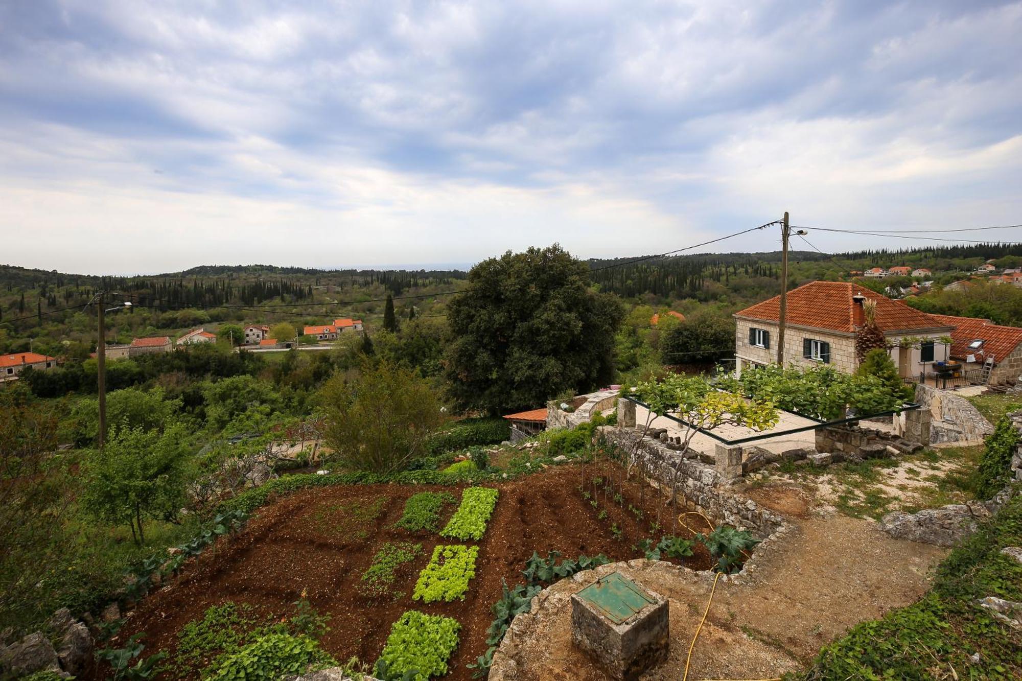 Country House Bakicevo Čilipi Dış mekan fotoğraf