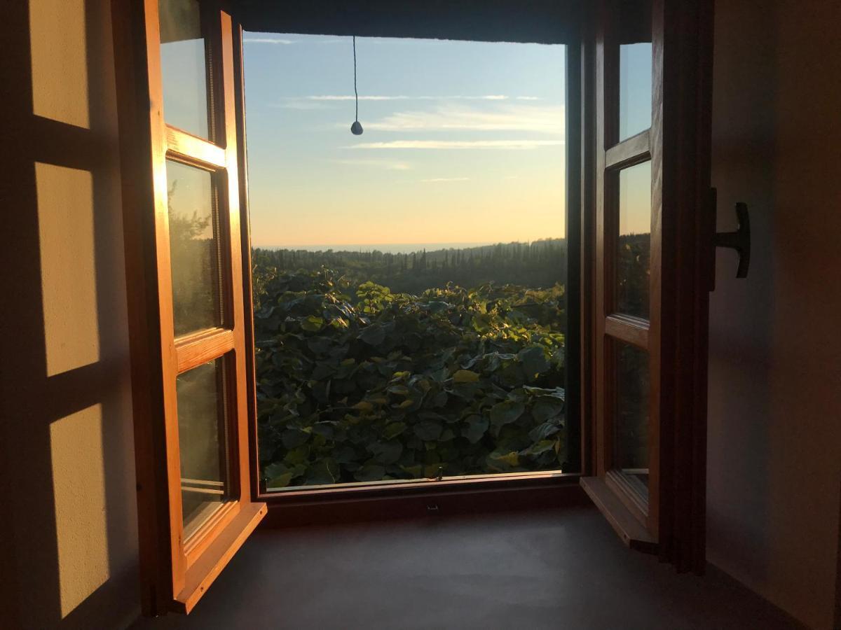 Country House Bakicevo Čilipi Dış mekan fotoğraf